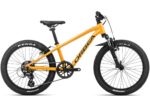 wynajem rower orbea 20
